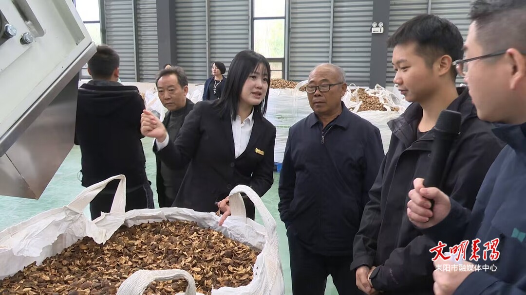 ce02f2dc8c5d4c4b3a01b7404a807f3b04810c2f1732412723940