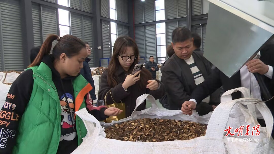 c88e6b17cd556e7e80b4bfa115f357425b99f1741732412704533