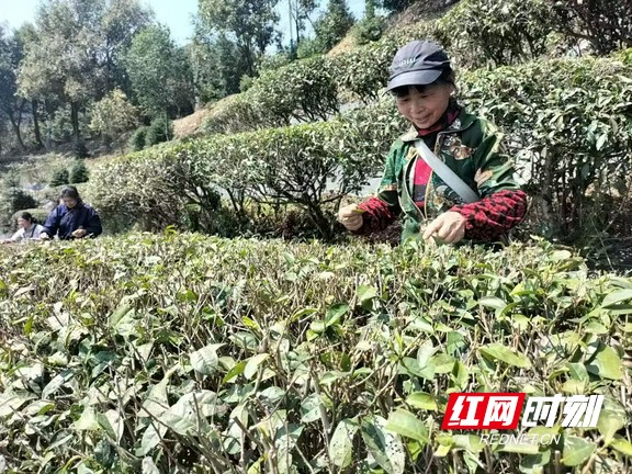 图片2_45574图片2