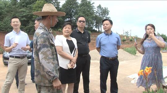 耒阳市人民政府门户网站-邱小兵督导乡镇脱贫攻坚,农村人居环境整治