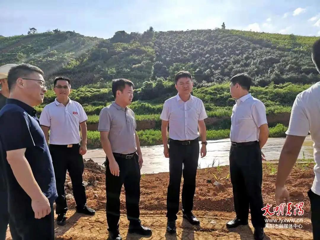耒阳市人民政府门户网站-张涛率队督查2020年度乡镇违法用地整改工作