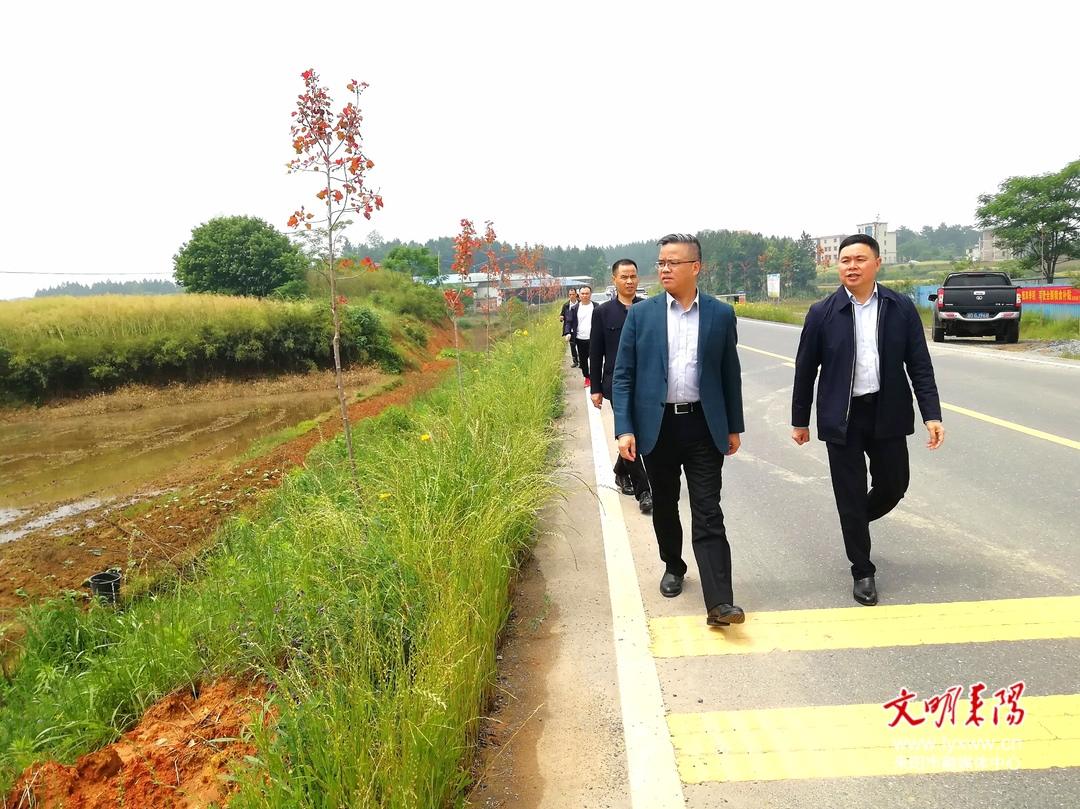 耒阳市人民政府门户网站-郭松青检查督导粮食生产,防溺水,房屋安全