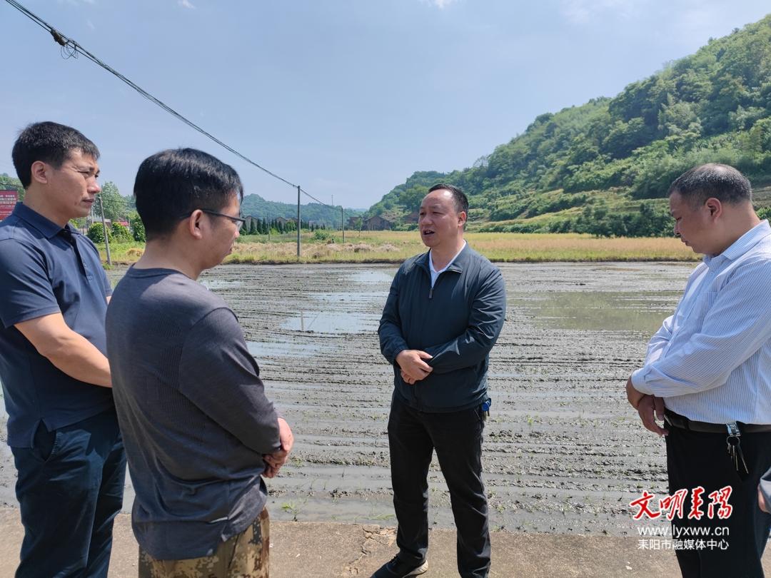 耒阳市人民政府门户网站