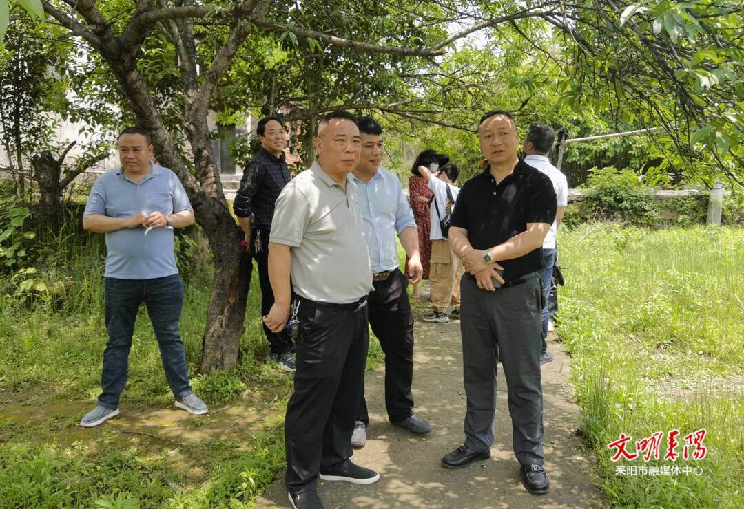 耒阳市人民政府门户网站