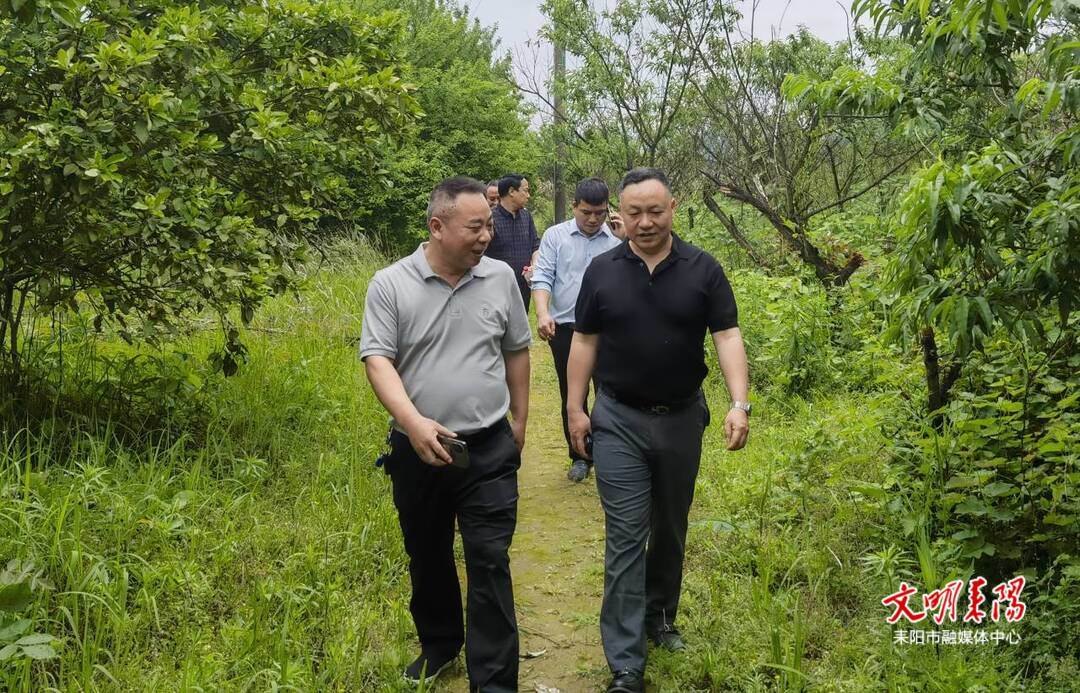 耒阳市人民政府门户网站