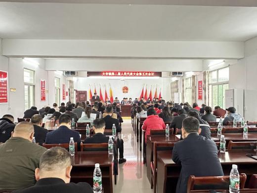 大市镇召开第二届人民代表大会第五次会议