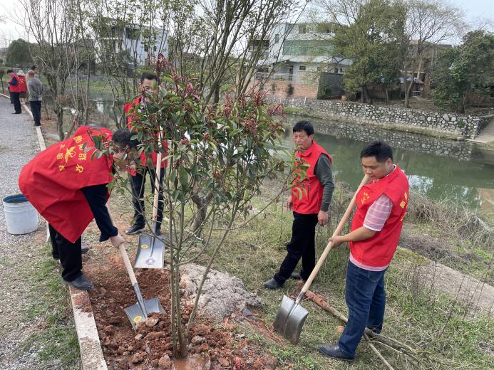 大市镇开展义务植树装点美丽乡村