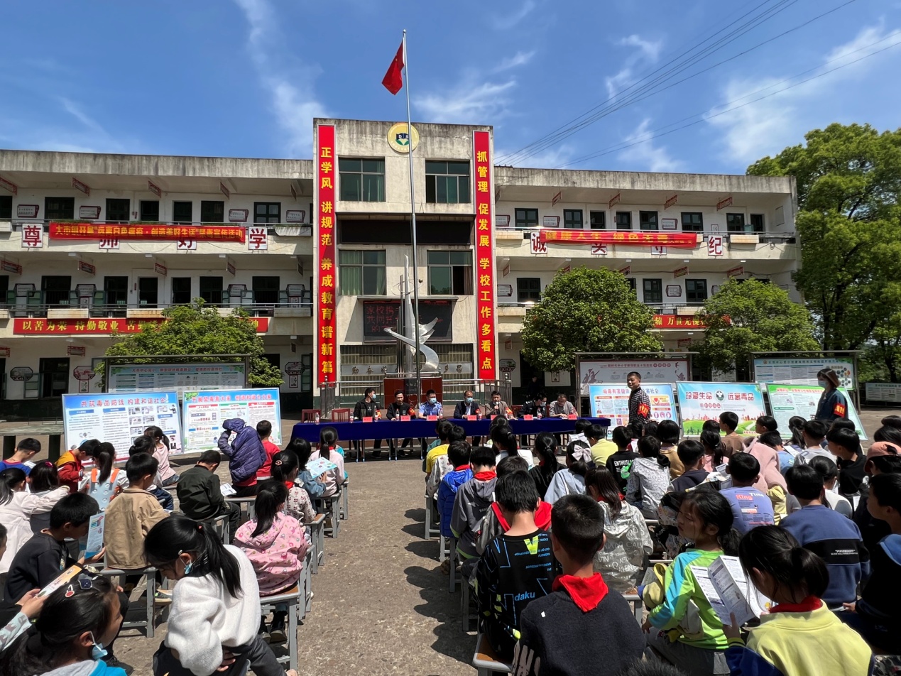 大市镇禁毒知识进校园平安守护促成长