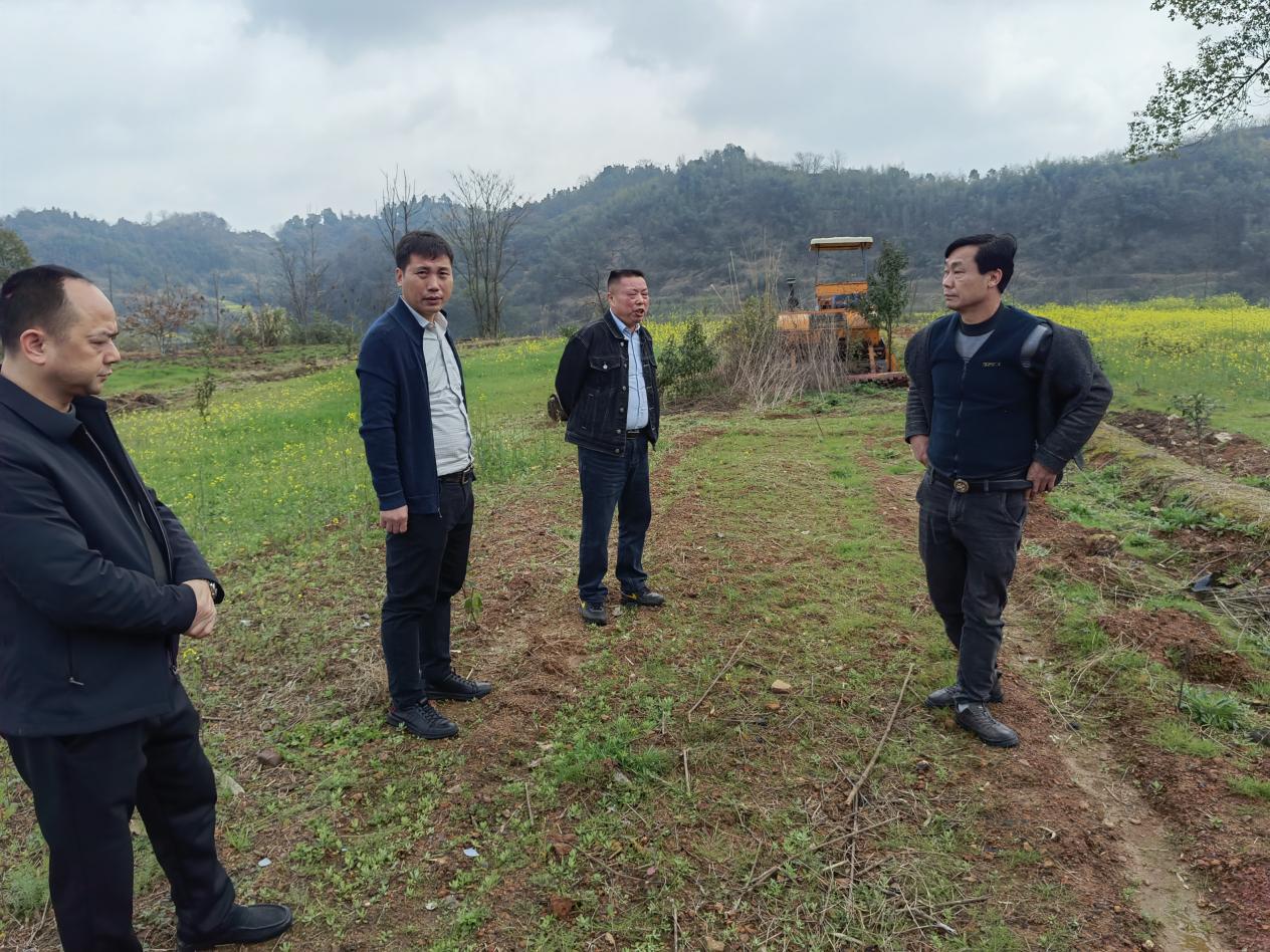 耒阳市人民政府门户网站-夏塘镇有序推进春耕备耕生产工作