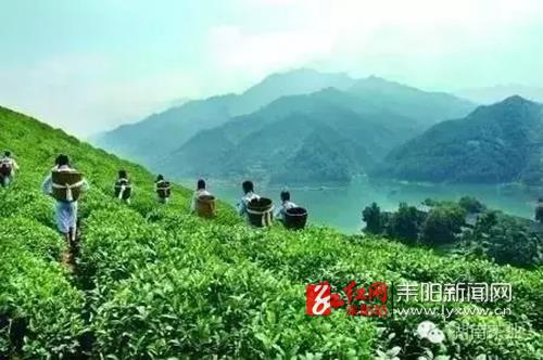 20160723160645185270.jpg 20160723160645185270.jpg