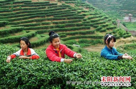 20141230162212206573.jpg 20141230162212206573.jpg