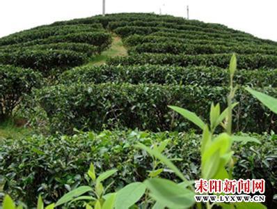 20141230162259682475.jpg 20141230162259682475.jpg