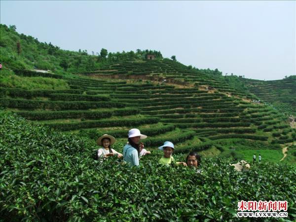 20141230162230855725.jpg 20141230162230855725.jpg