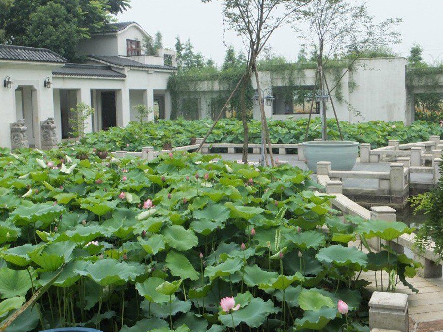 耒阳市人民政府门户网站-宜园风光